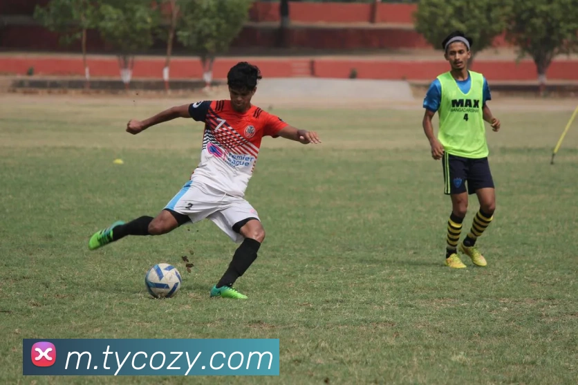 太阳城平台生态图